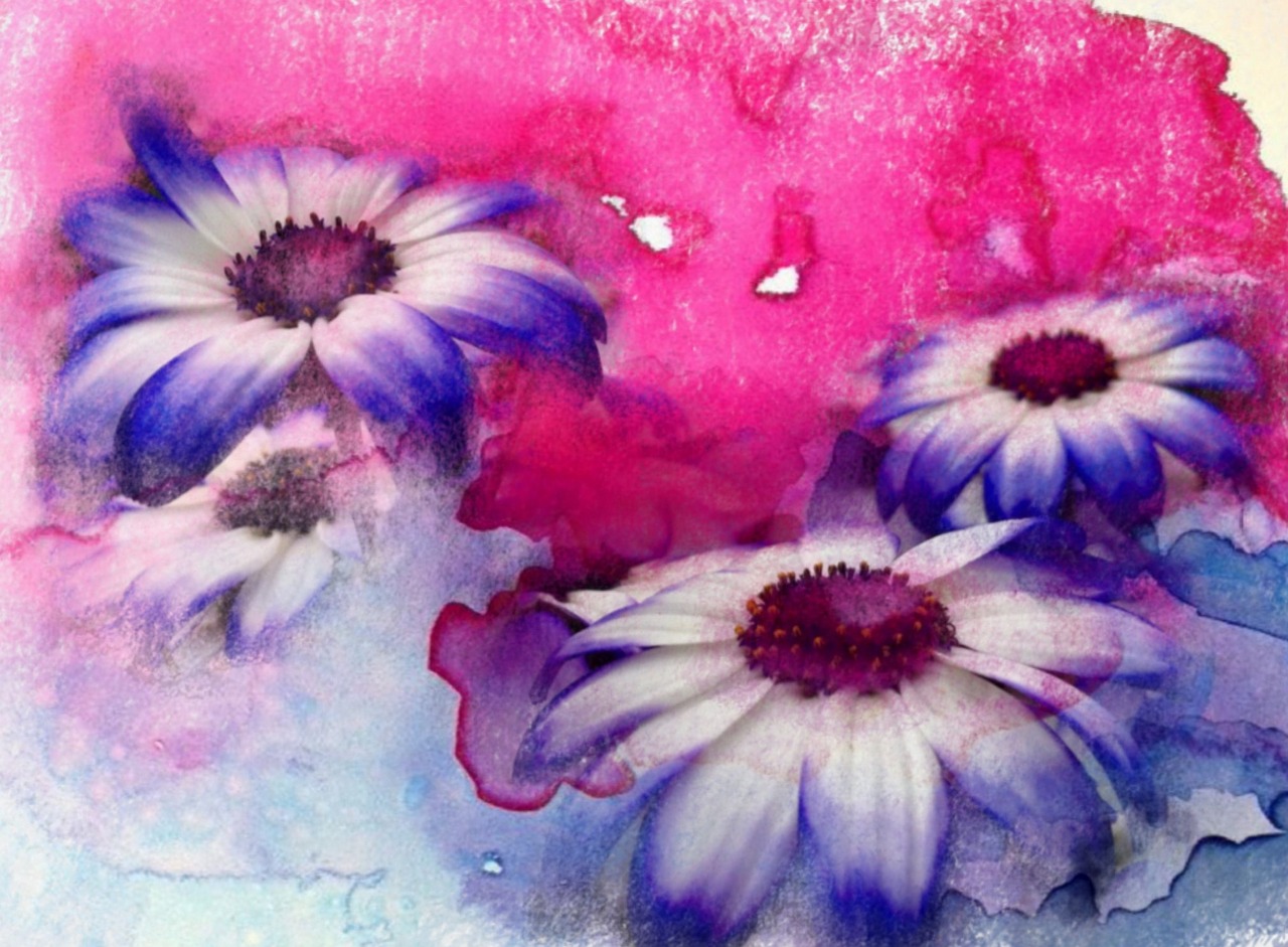 flower art background free photo