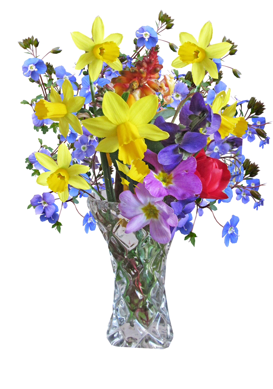 flower vase spring free photo