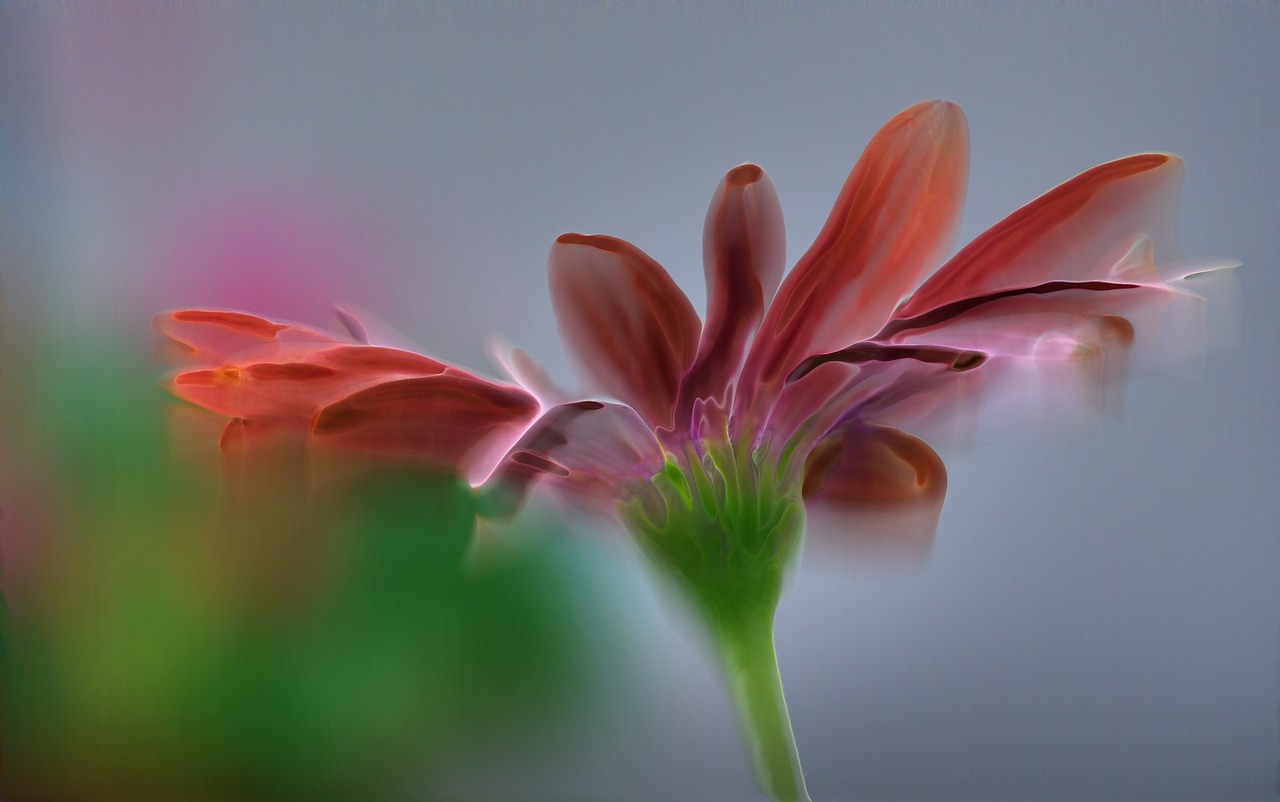 flower pink surreal free photo