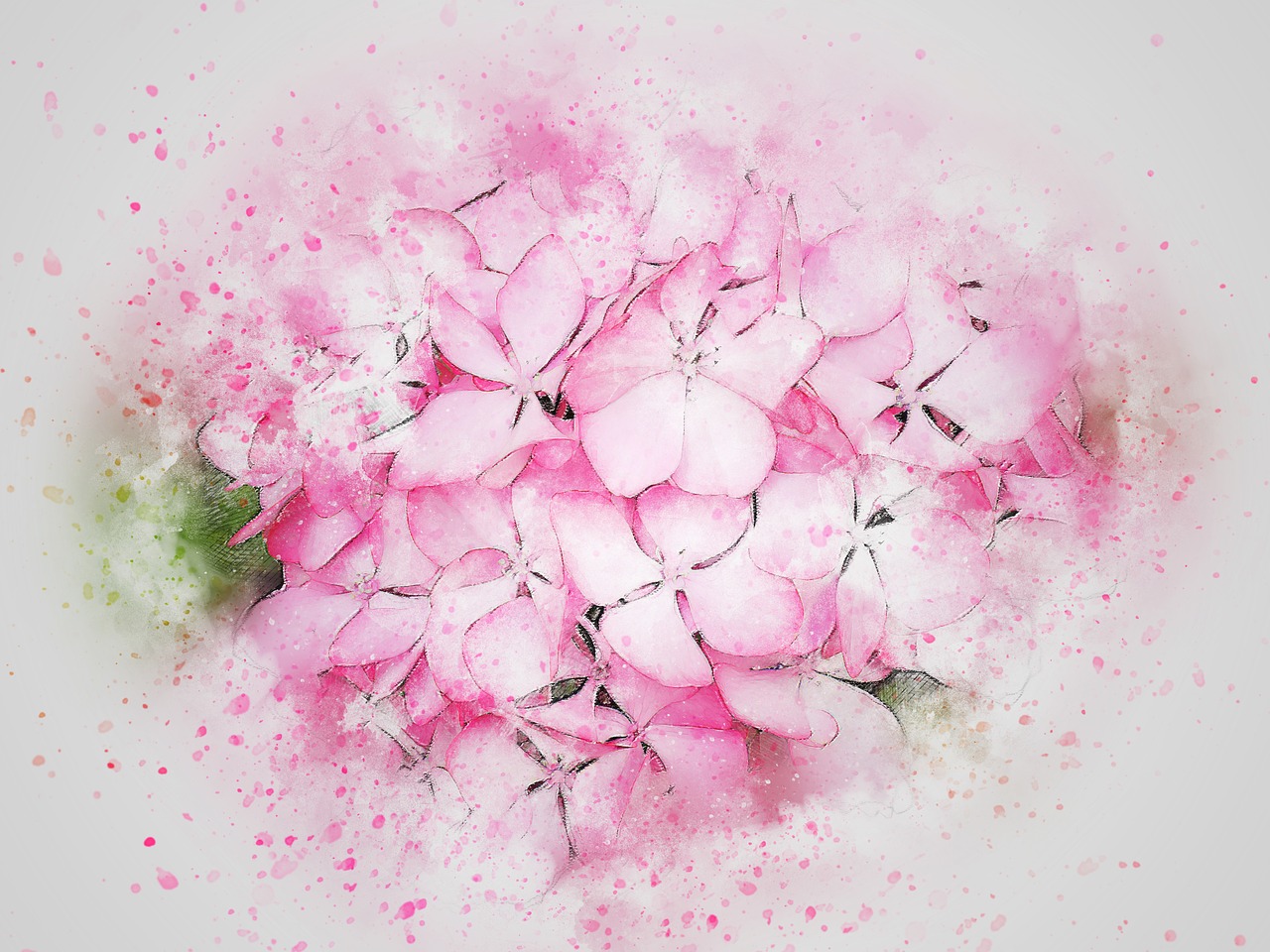 flower pink art free photo