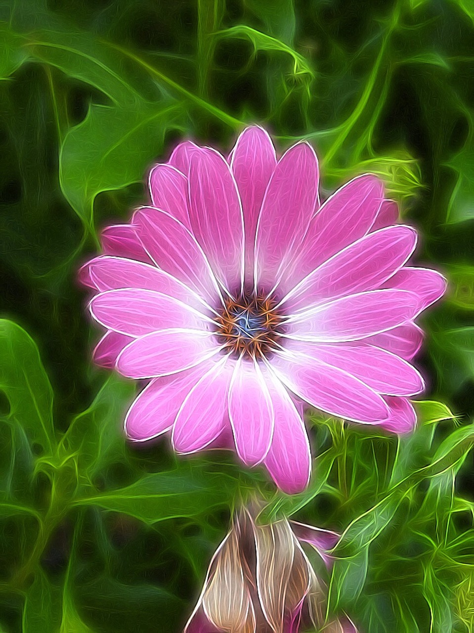 flower pink pink flower free photo