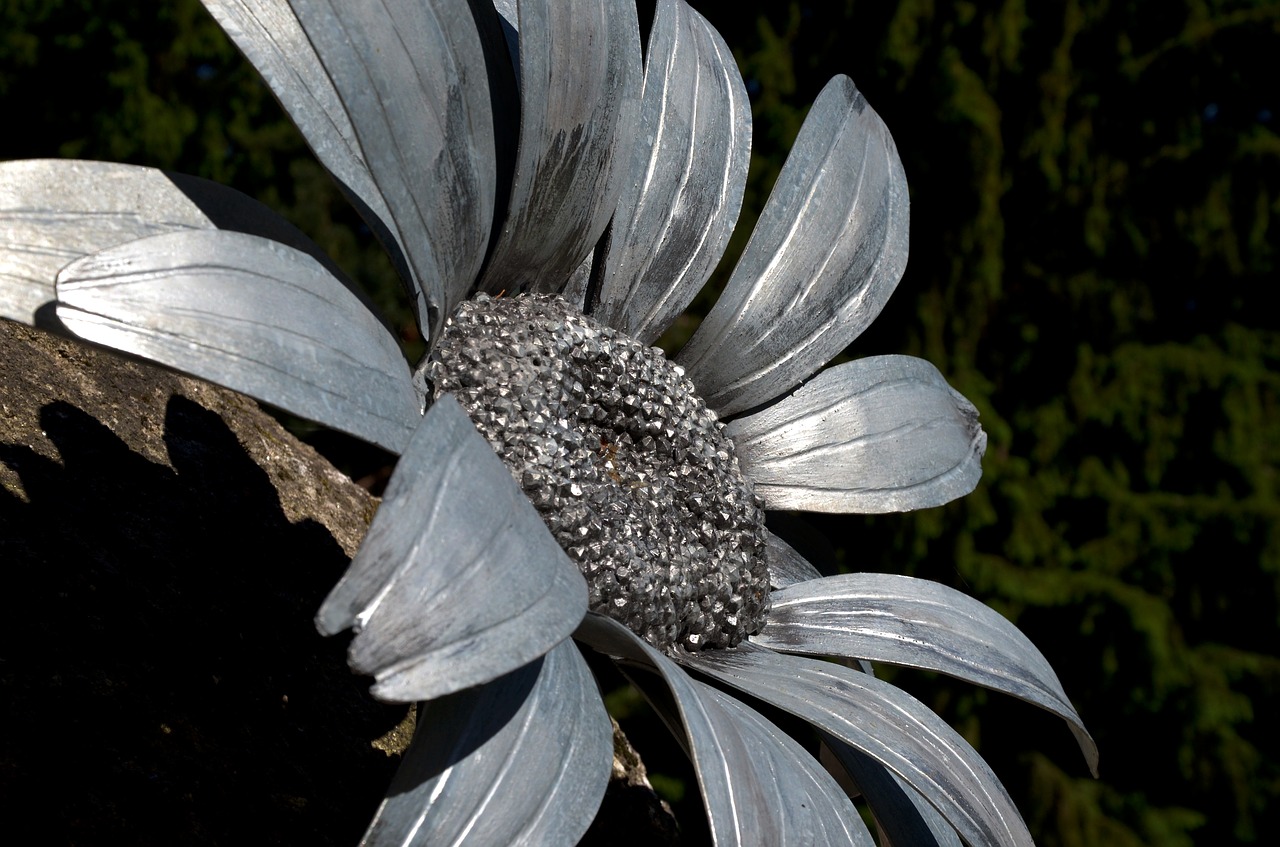 flower iron silver free photo