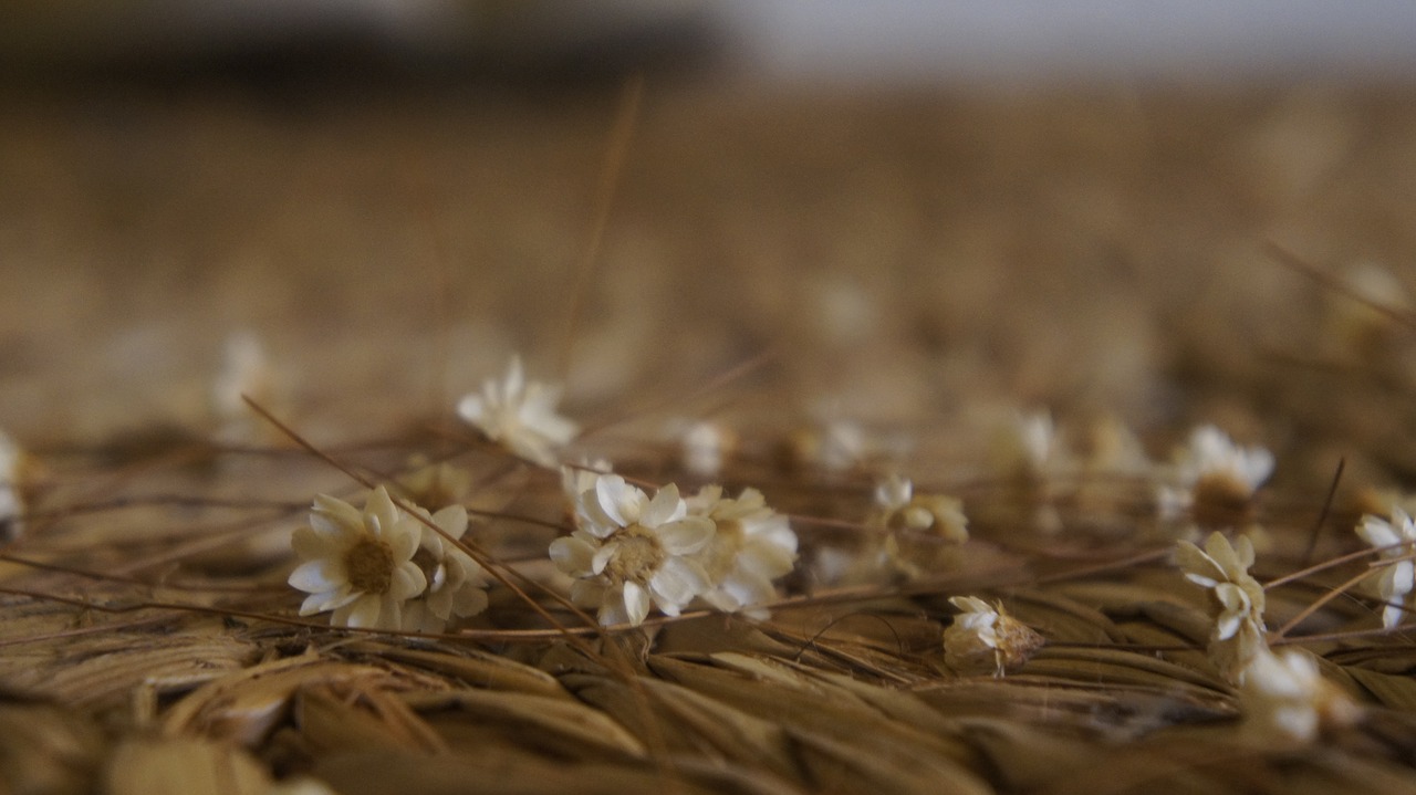 flower carpet rustic free photo