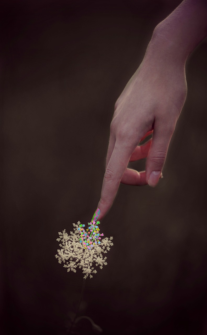 flower hand coloring free photo
