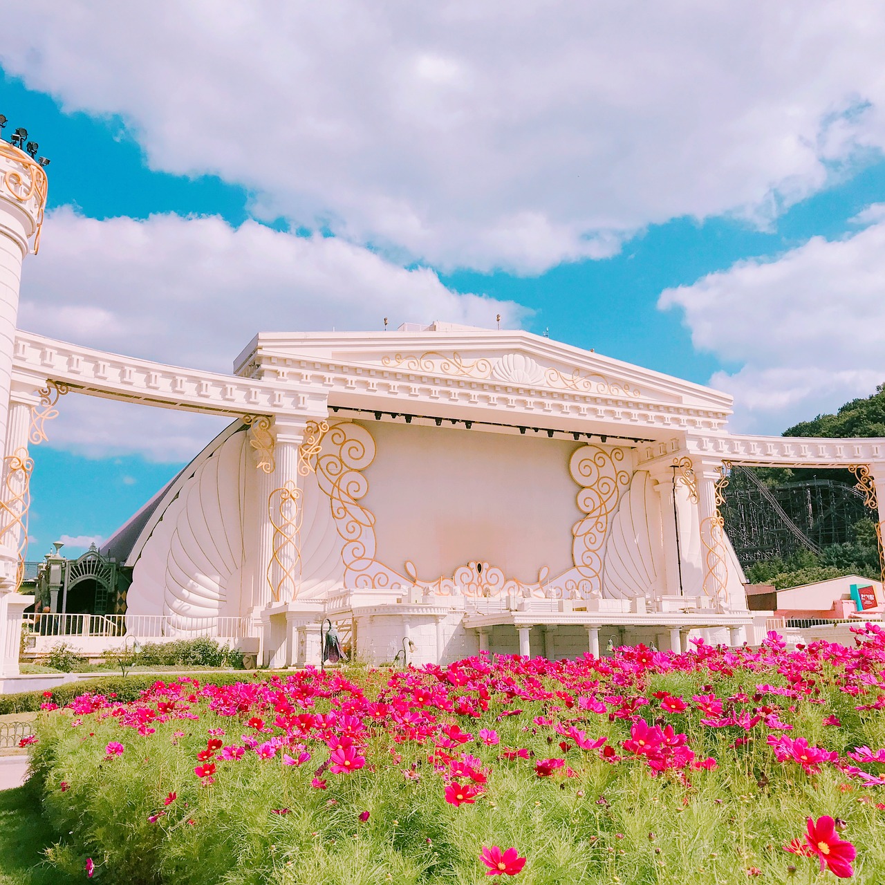 flower sky cloud free photo