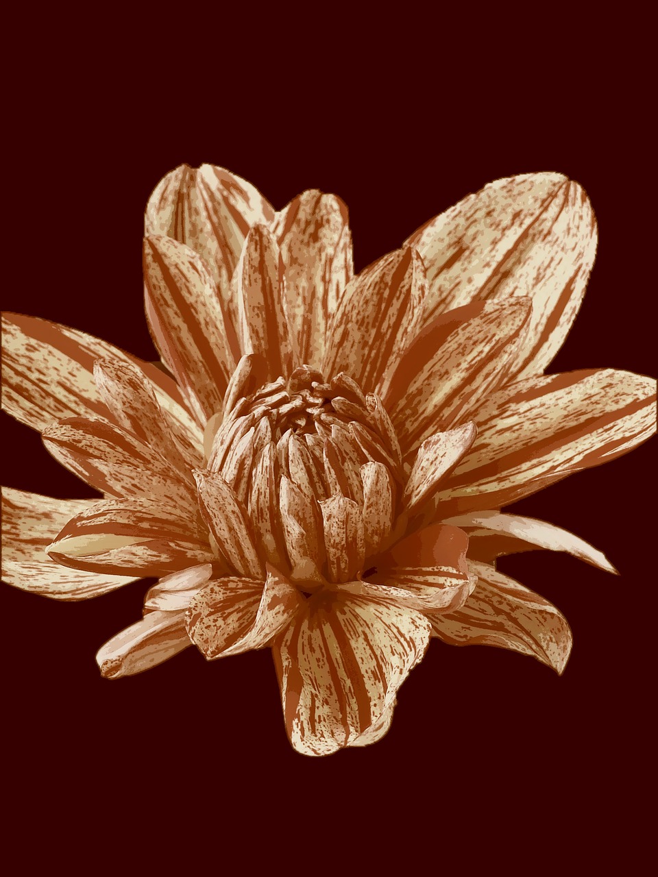 flower brown decoration free photo