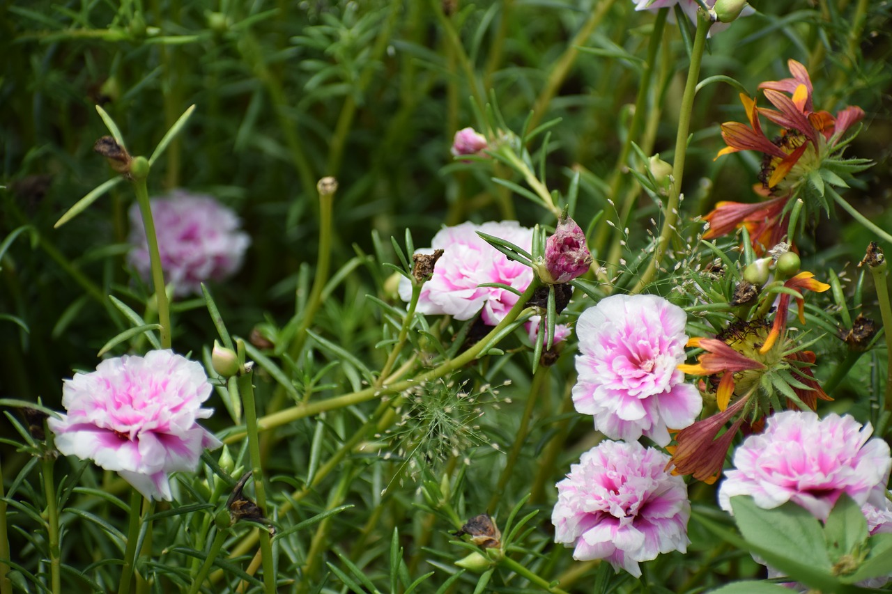 flower grass green free photo