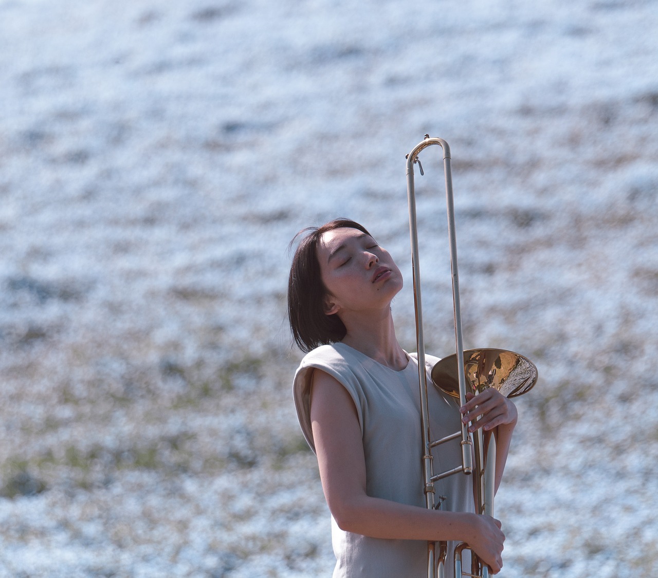 flower instrument portrait free photo