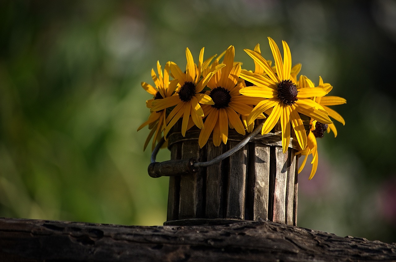 flower pot pots free photo