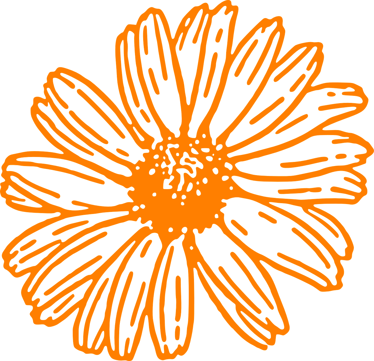 flower daisy orange free photo