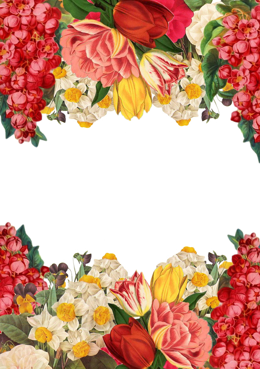 flower frame background free photo