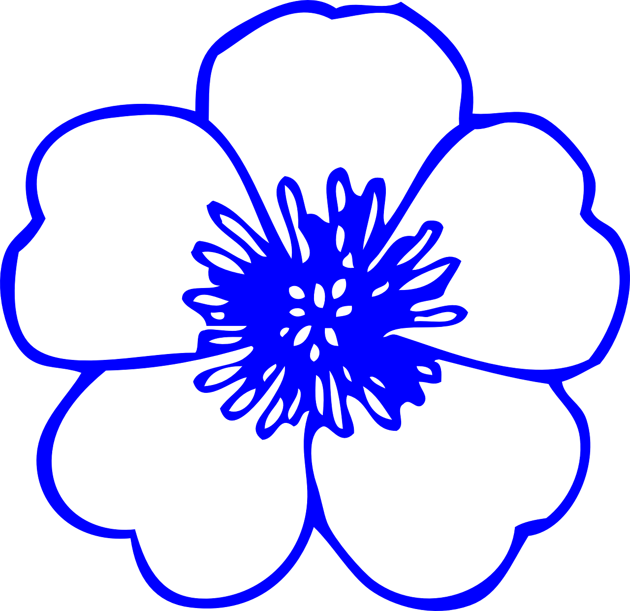 flower buttercup blue free photo