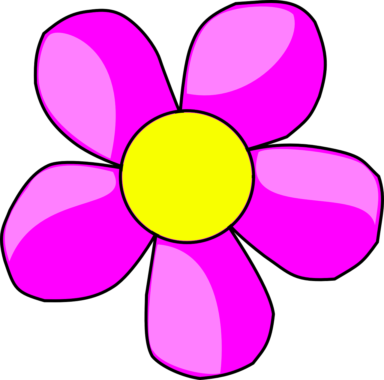 flower blossom purple free photo