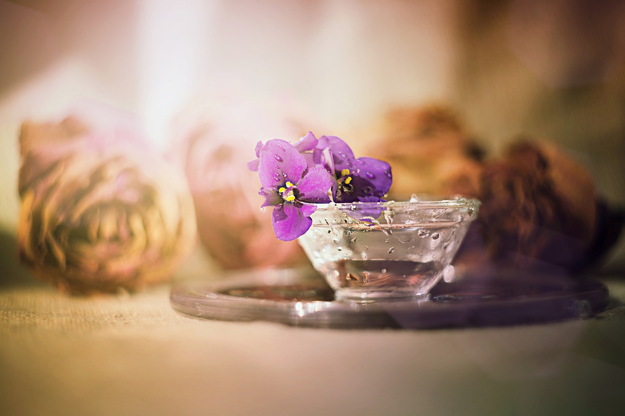 flower table candle free photo