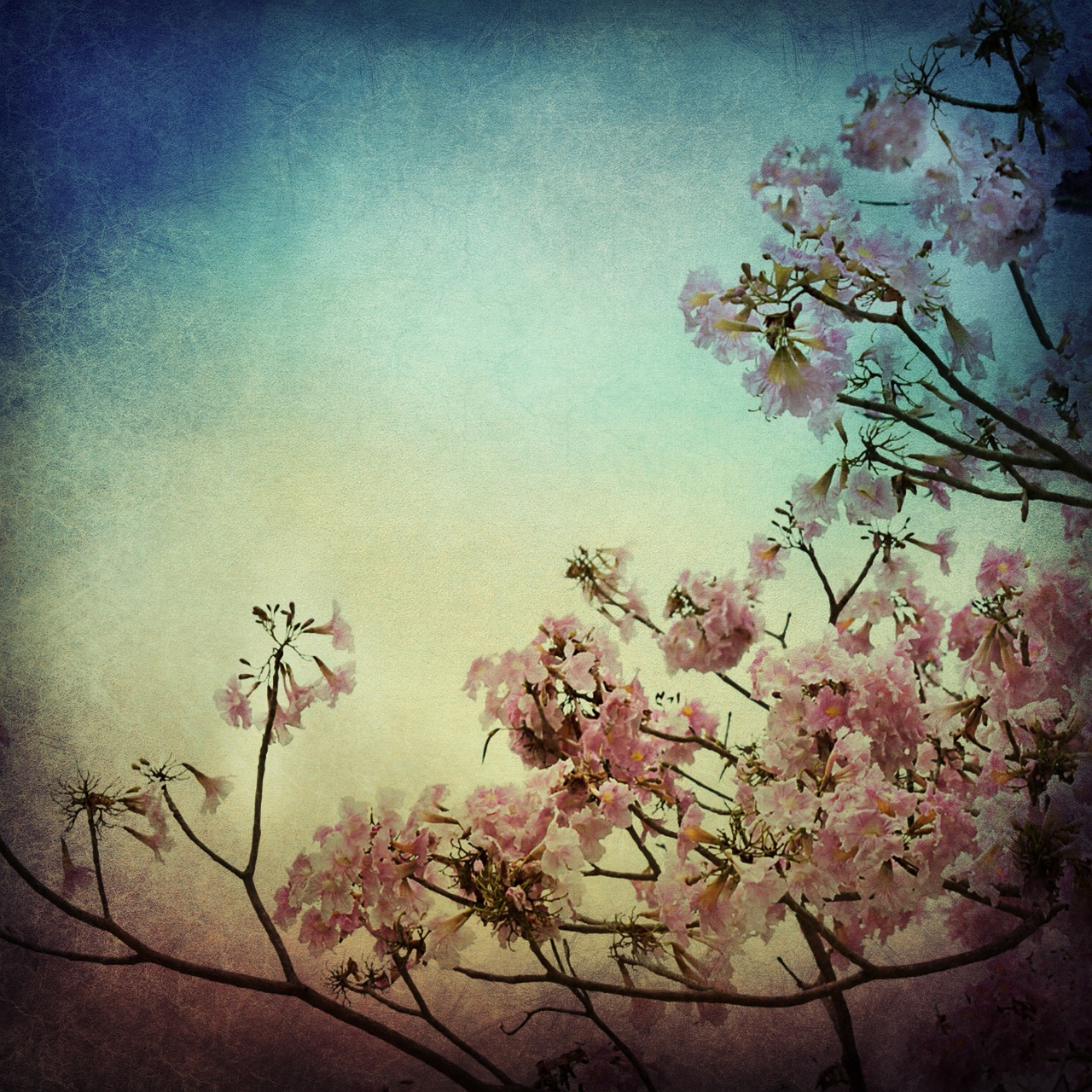 flower background texture free photo