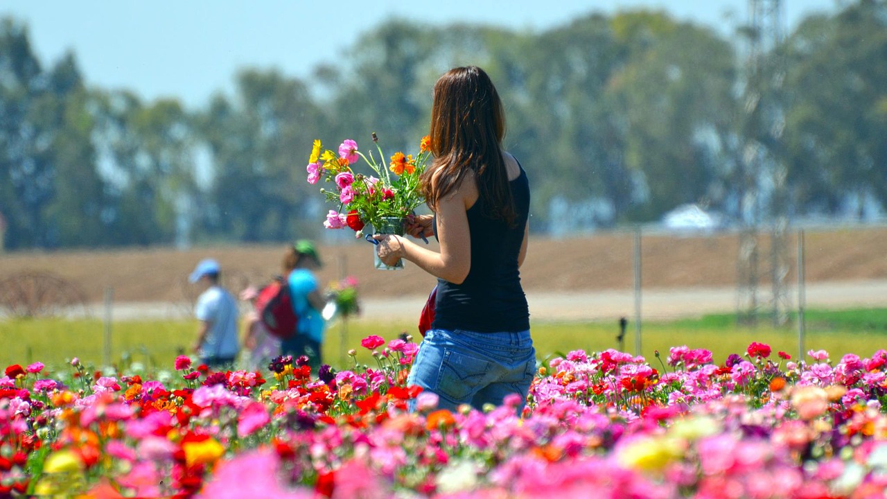 flower nature summer free photo