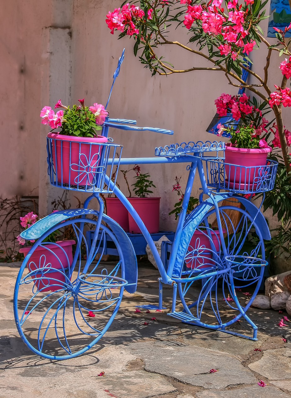 flower basket bike free photo
