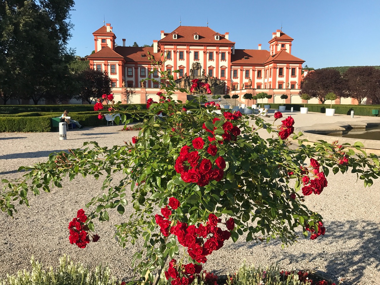 flower garden architecture free photo