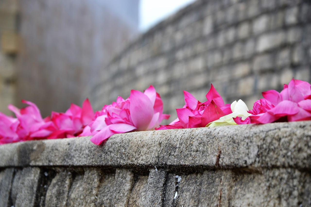 flower temple faith free photo