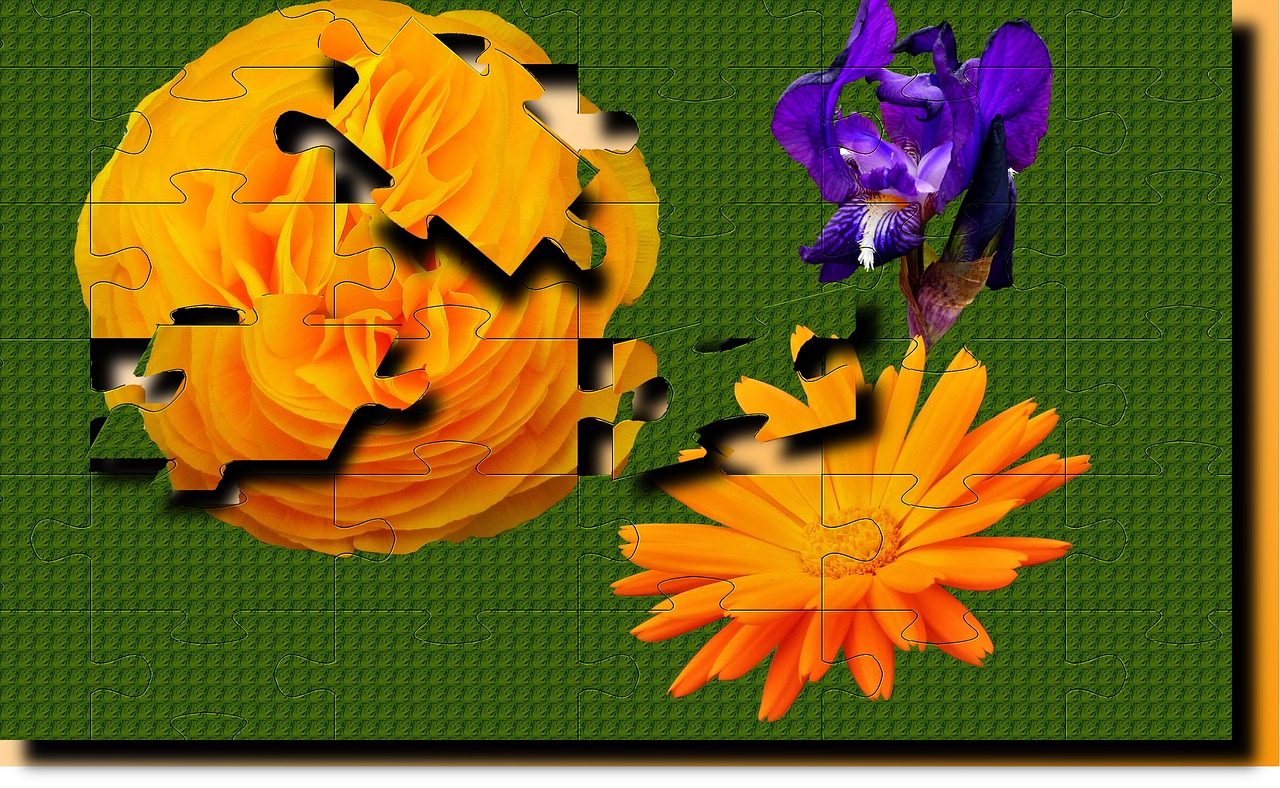 flower  puzzle  color free photo