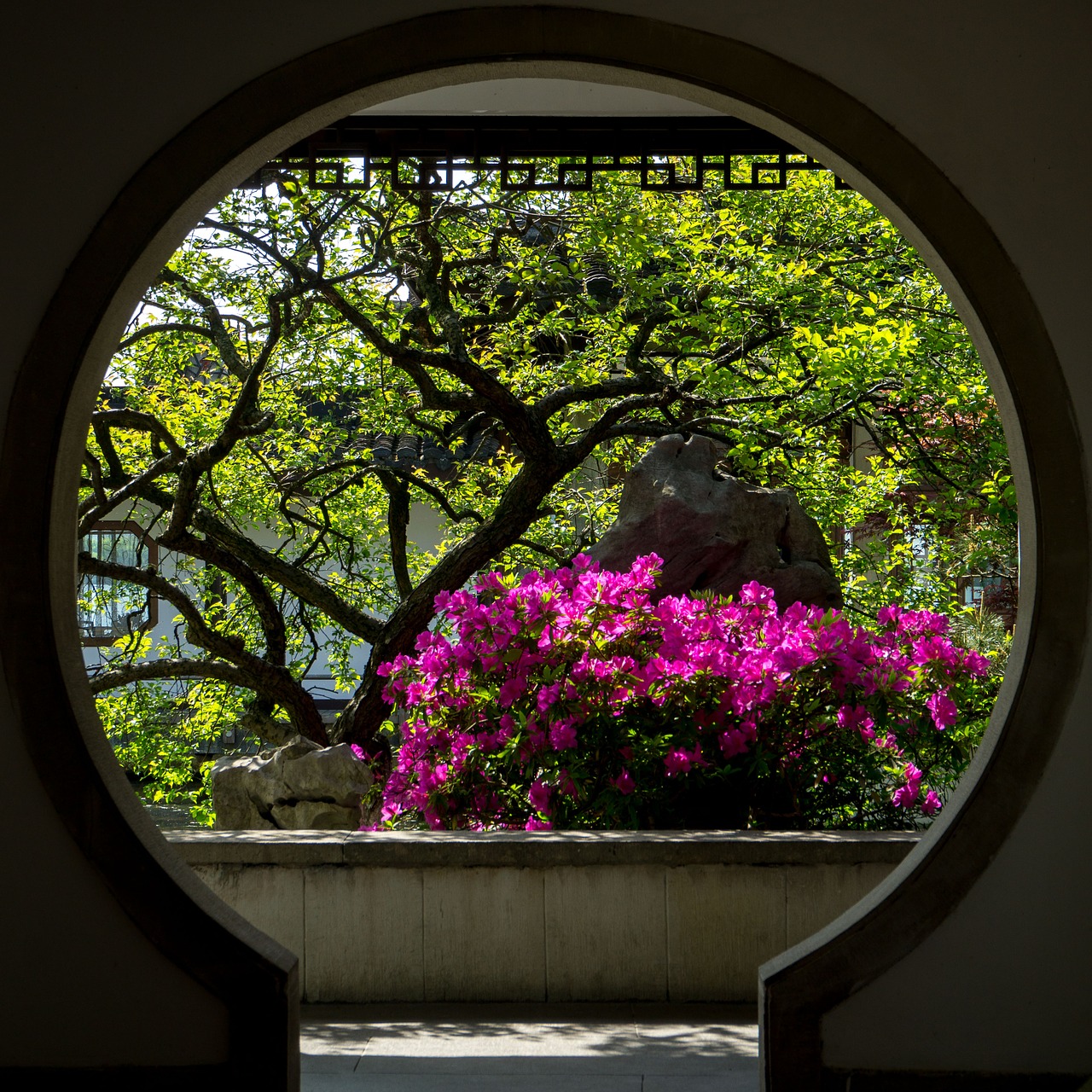 flower  garden  circle free photo