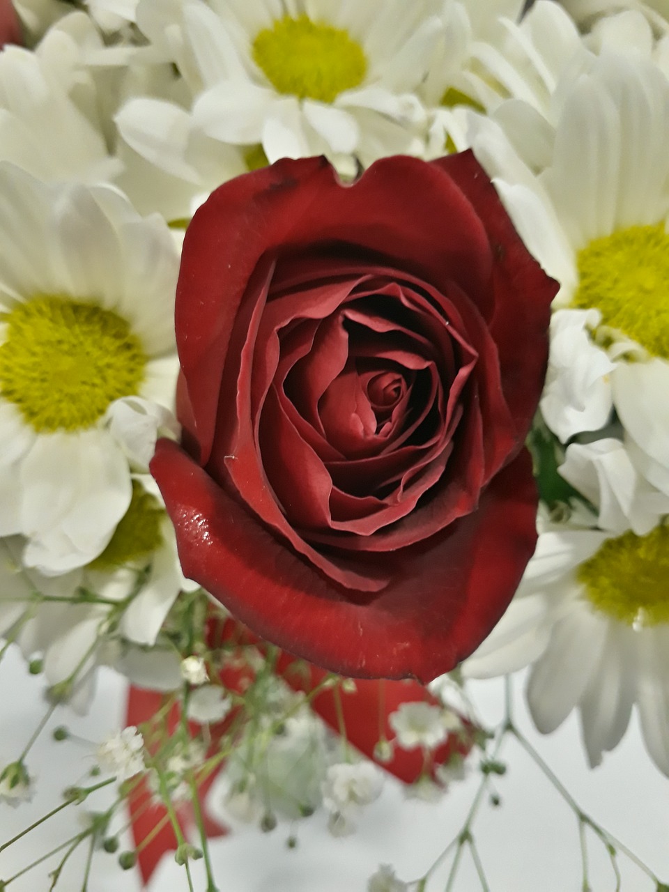 flower  bouquet  rose free photo