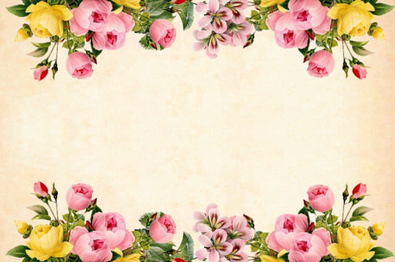 flower  background  floral free photo