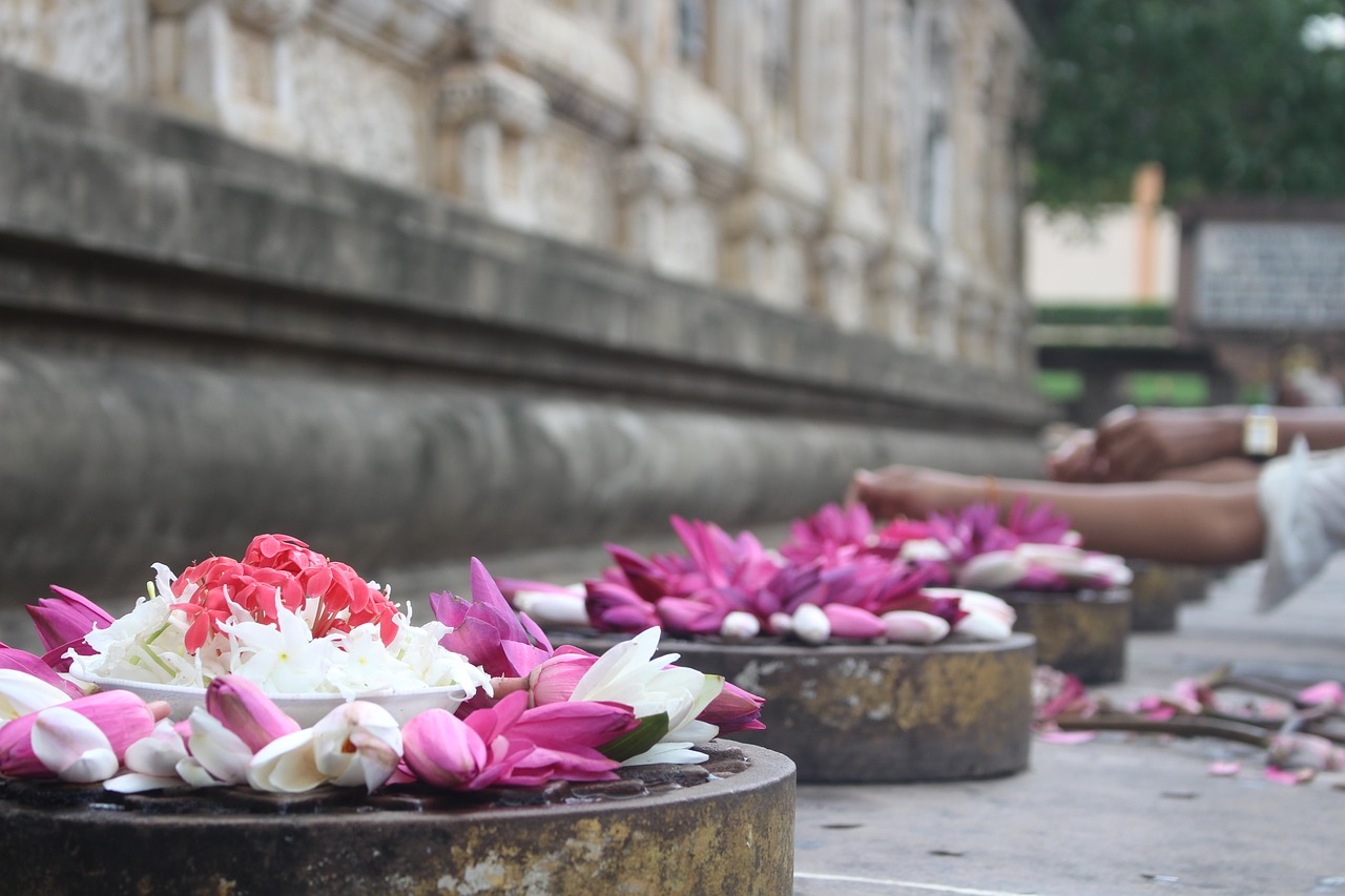 flower  relaxation  beautiful free photo