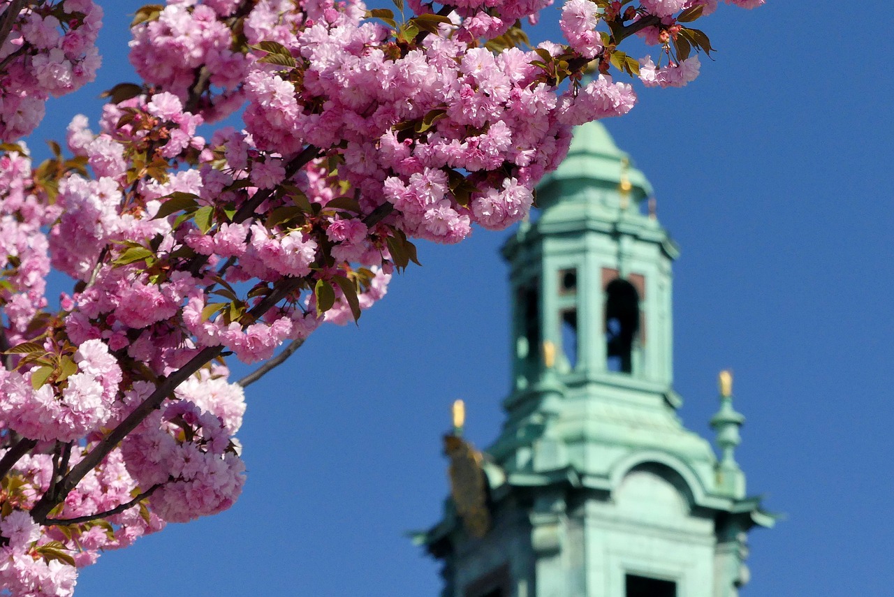 flower  tree  at the court of free photo