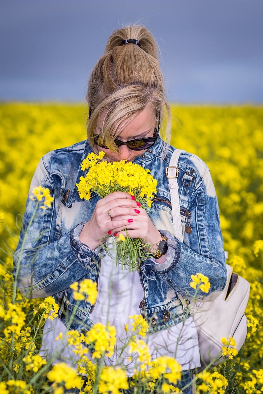 flower  nature  field free photo