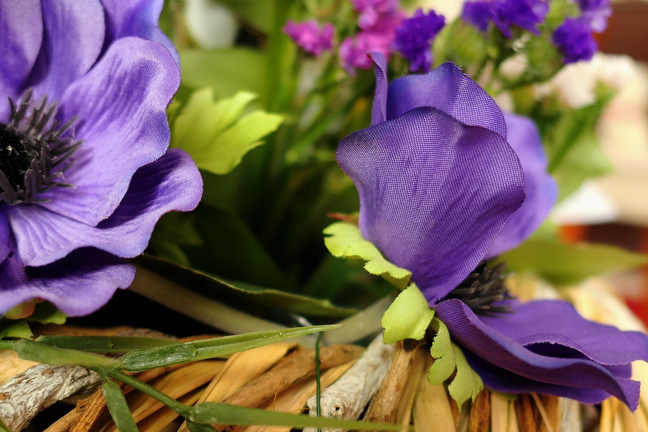 flower  plant  silk flower free photo