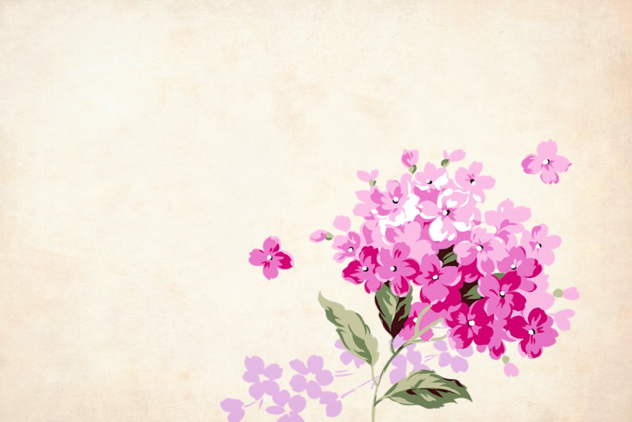 flower  floral  background free photo