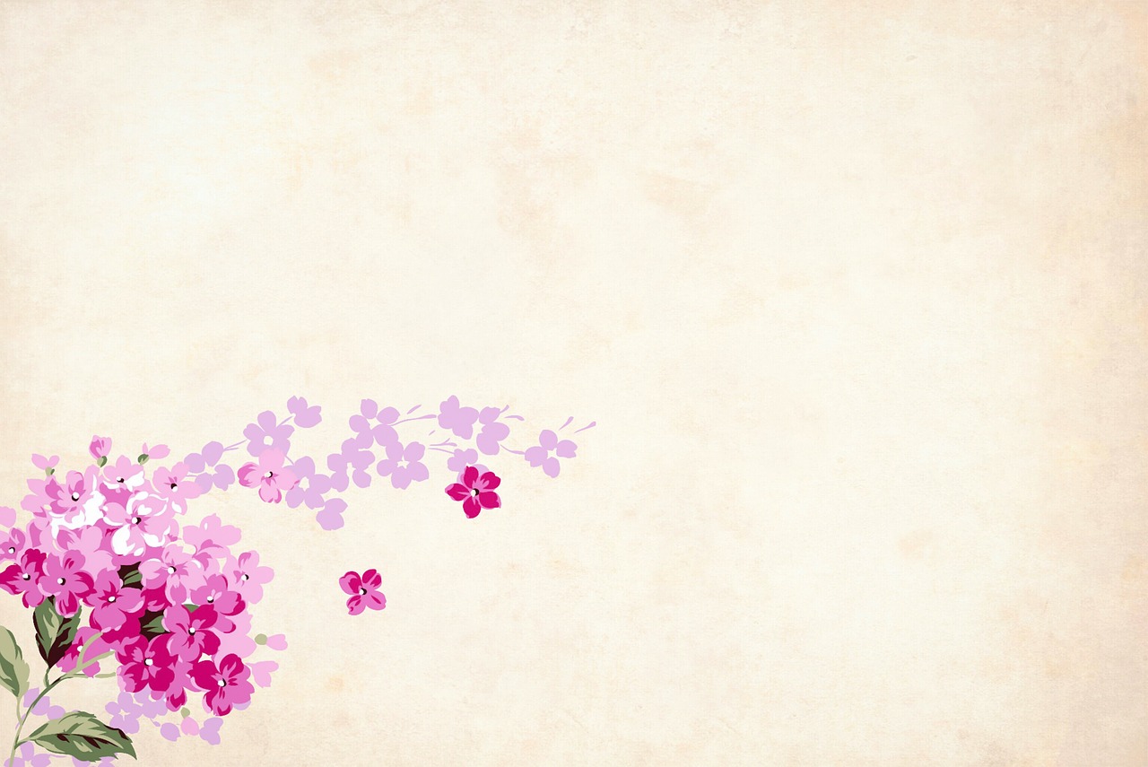 flower  floral  background free photo