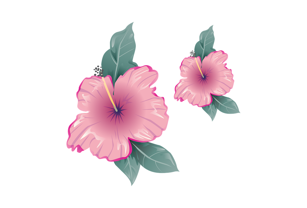 flower  clipart  pink free photo