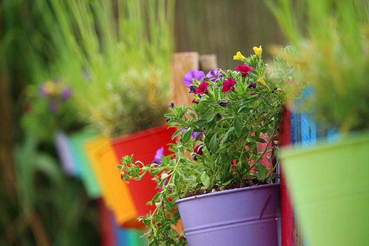 flower  plant  zauberglockchen free photo