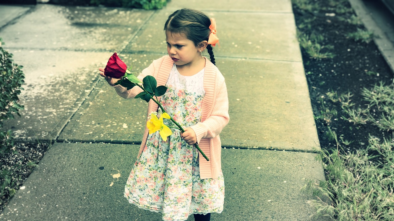 flower  girl  rain free photo