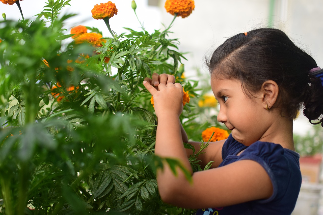 flower  child  kid free photo