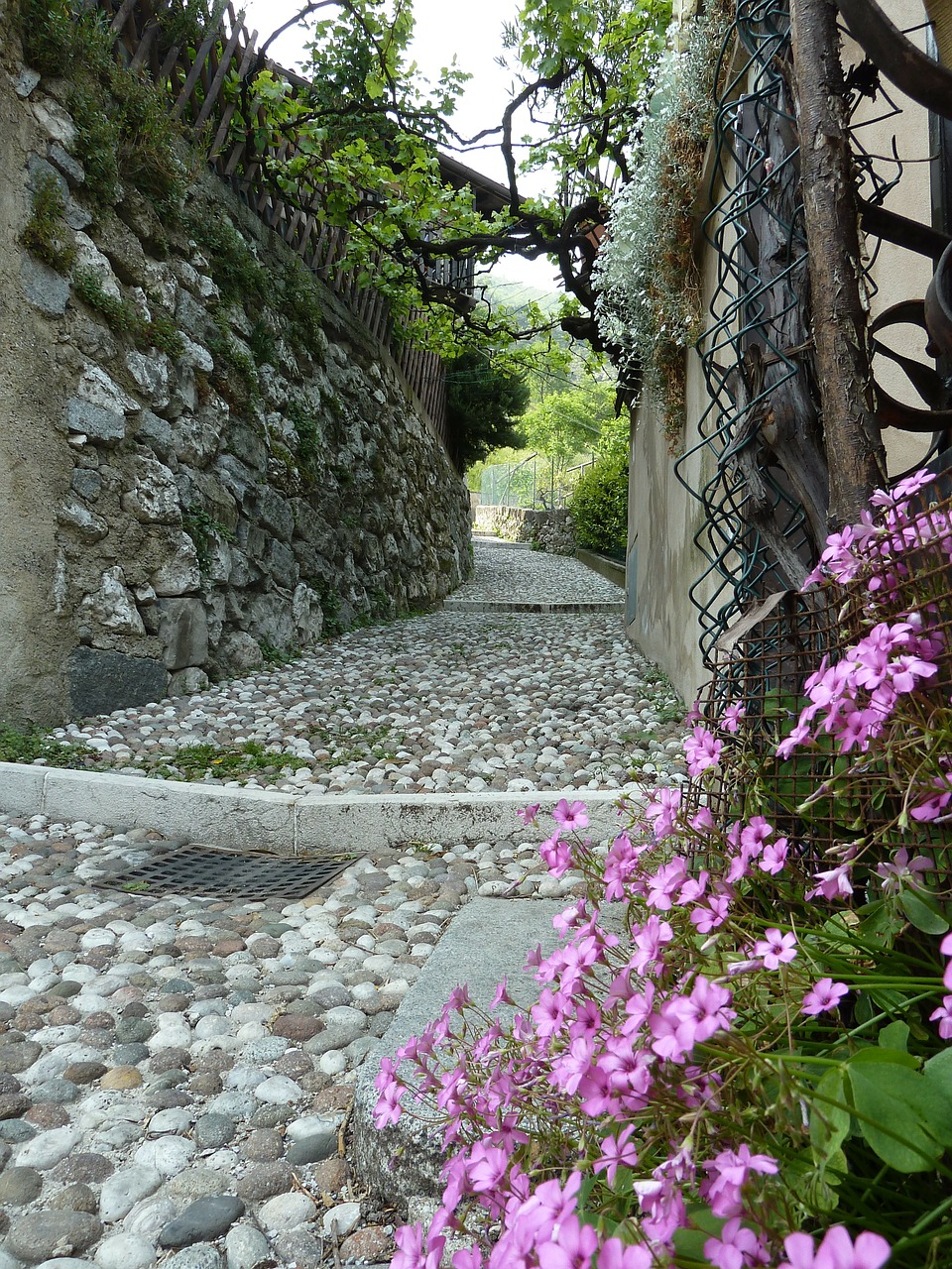 flower stone mediterranean free photo