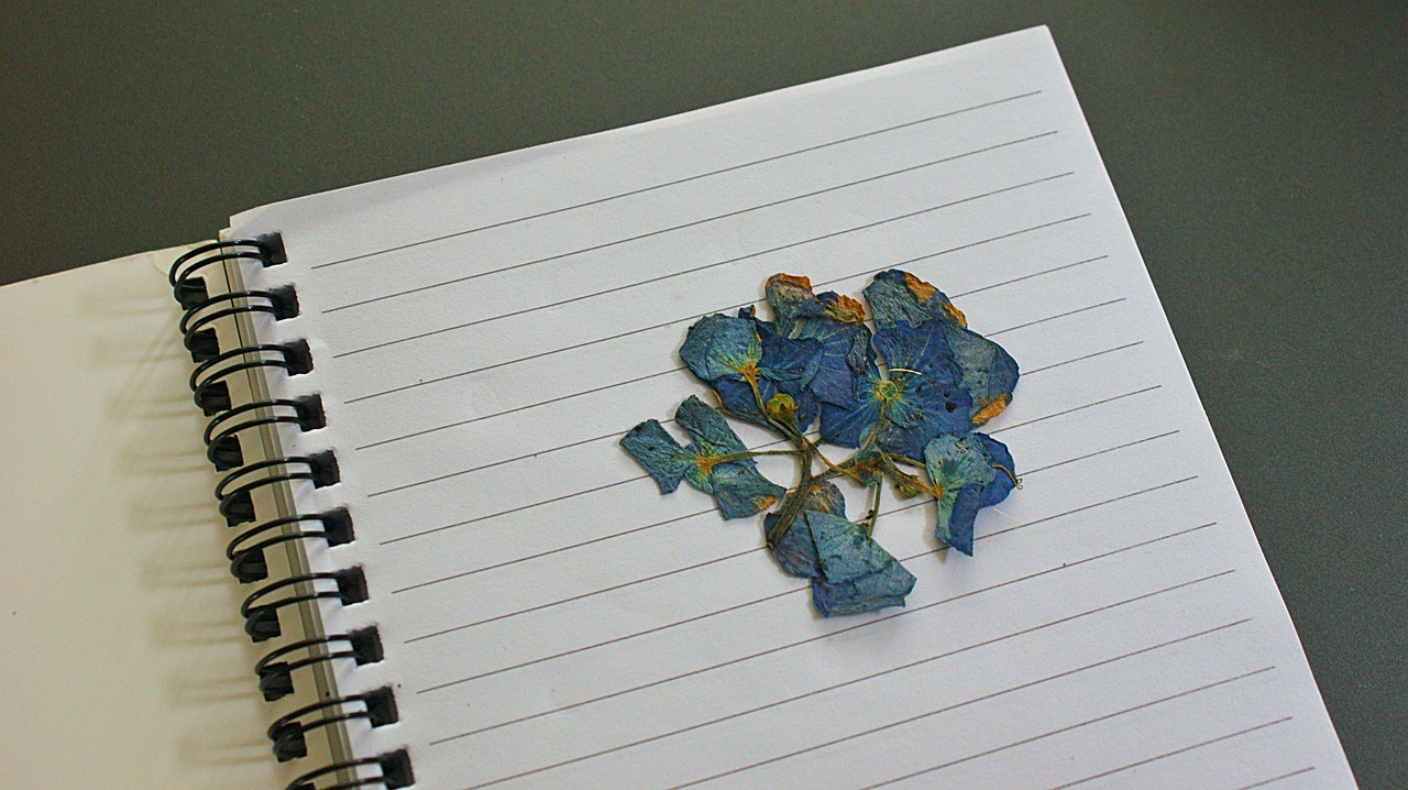 flower  dried  notebook free photo