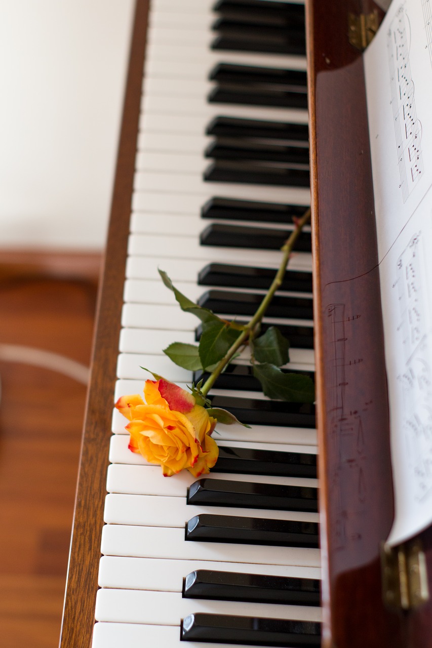 flower  music  piano free photo