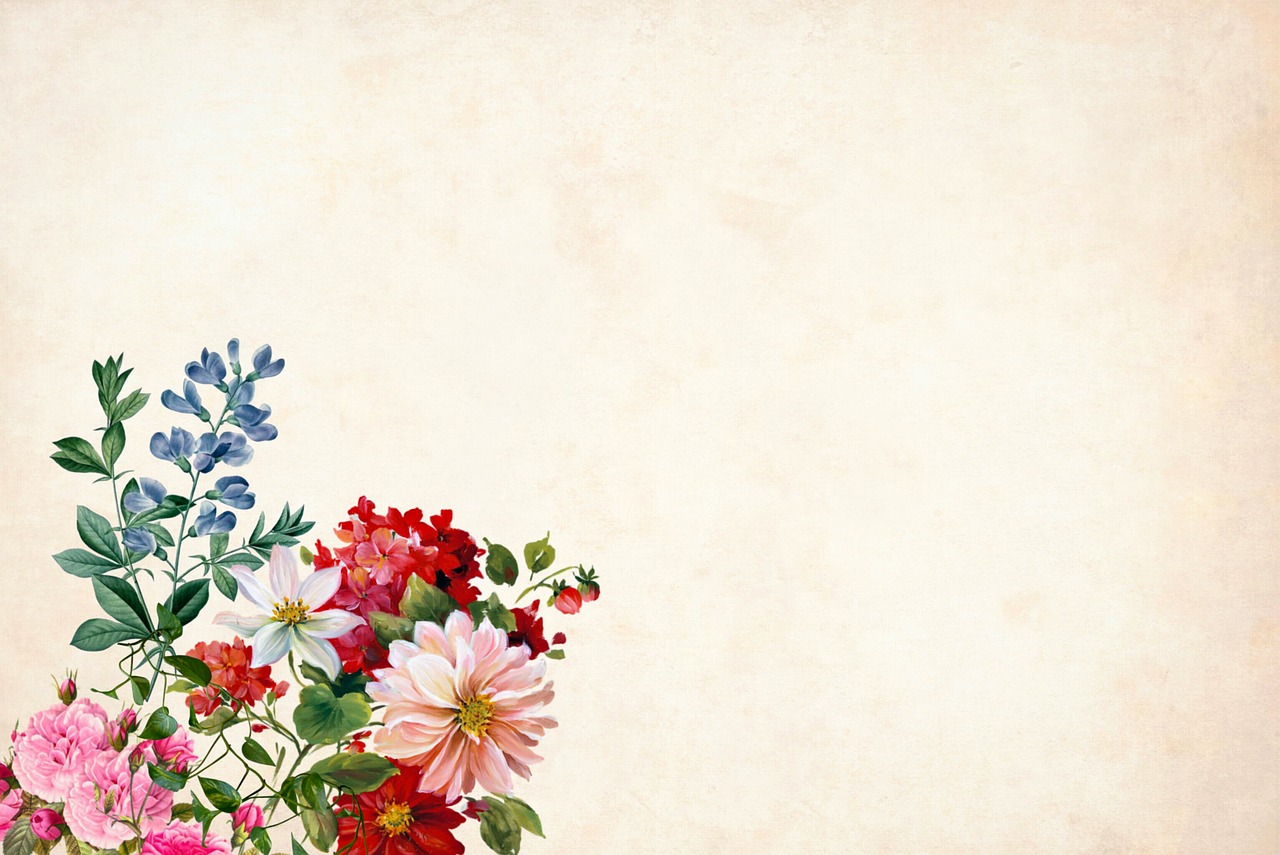 flower  floral  background free photo