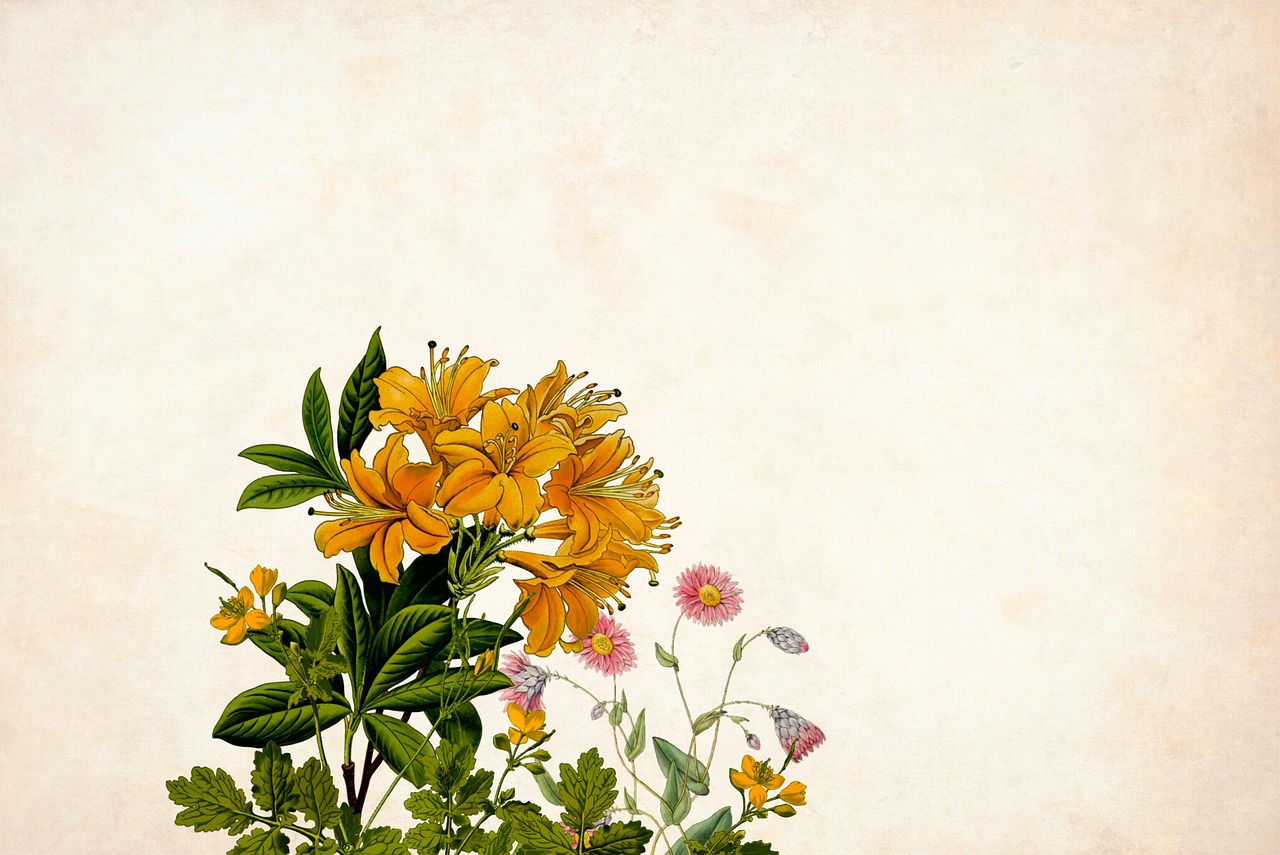 flower  floral  background free photo