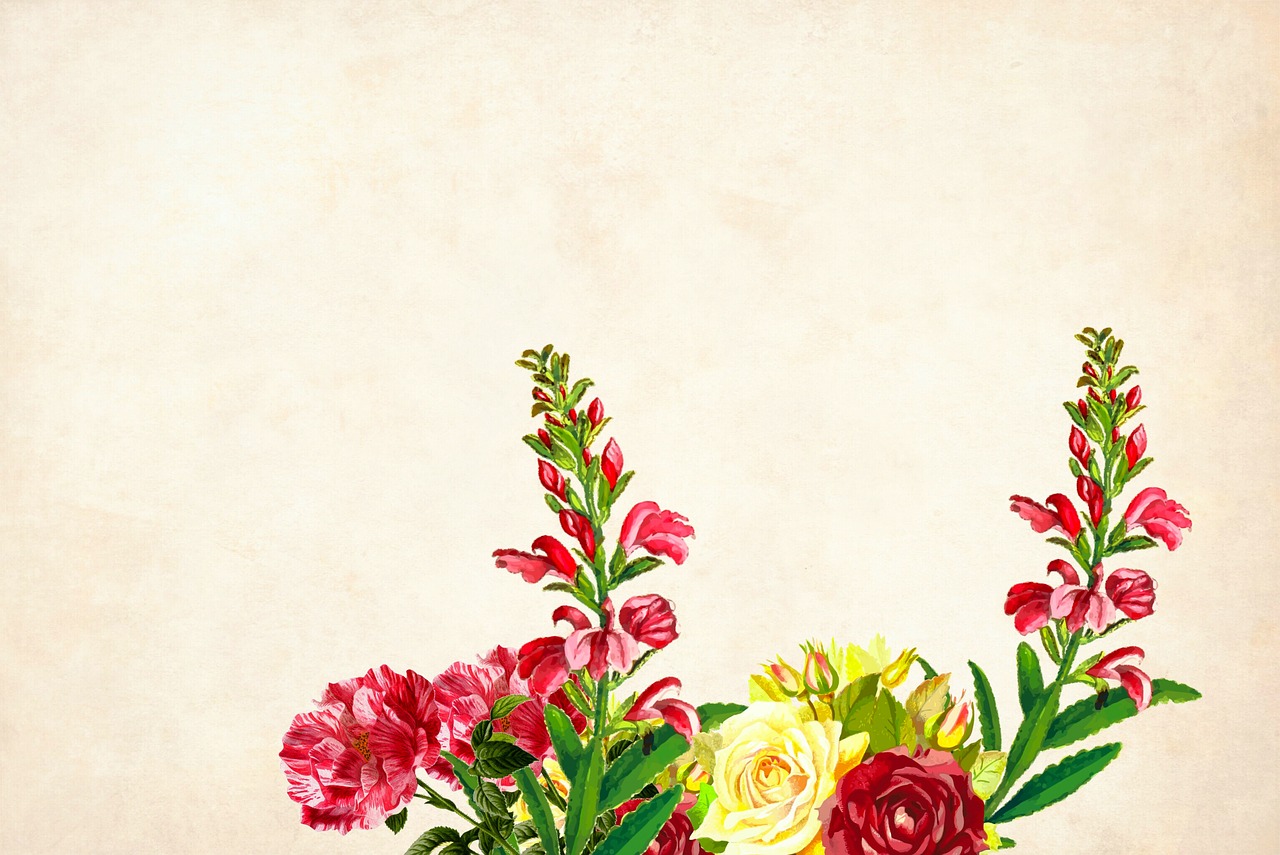 flower  floral  background free photo