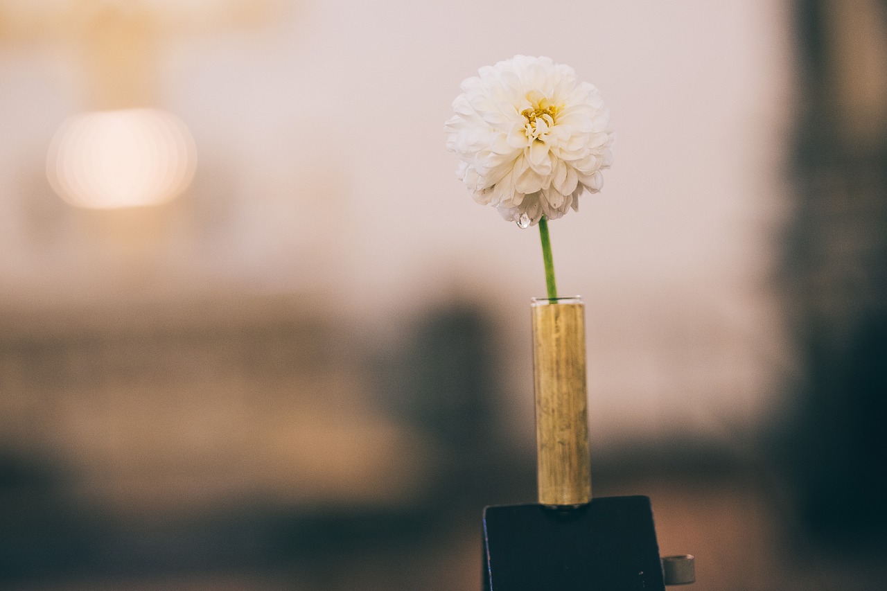 flower  wedding  romantic free photo