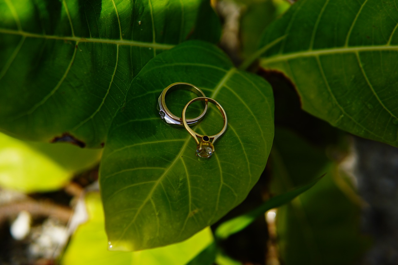 flower  ring  wedding free photo