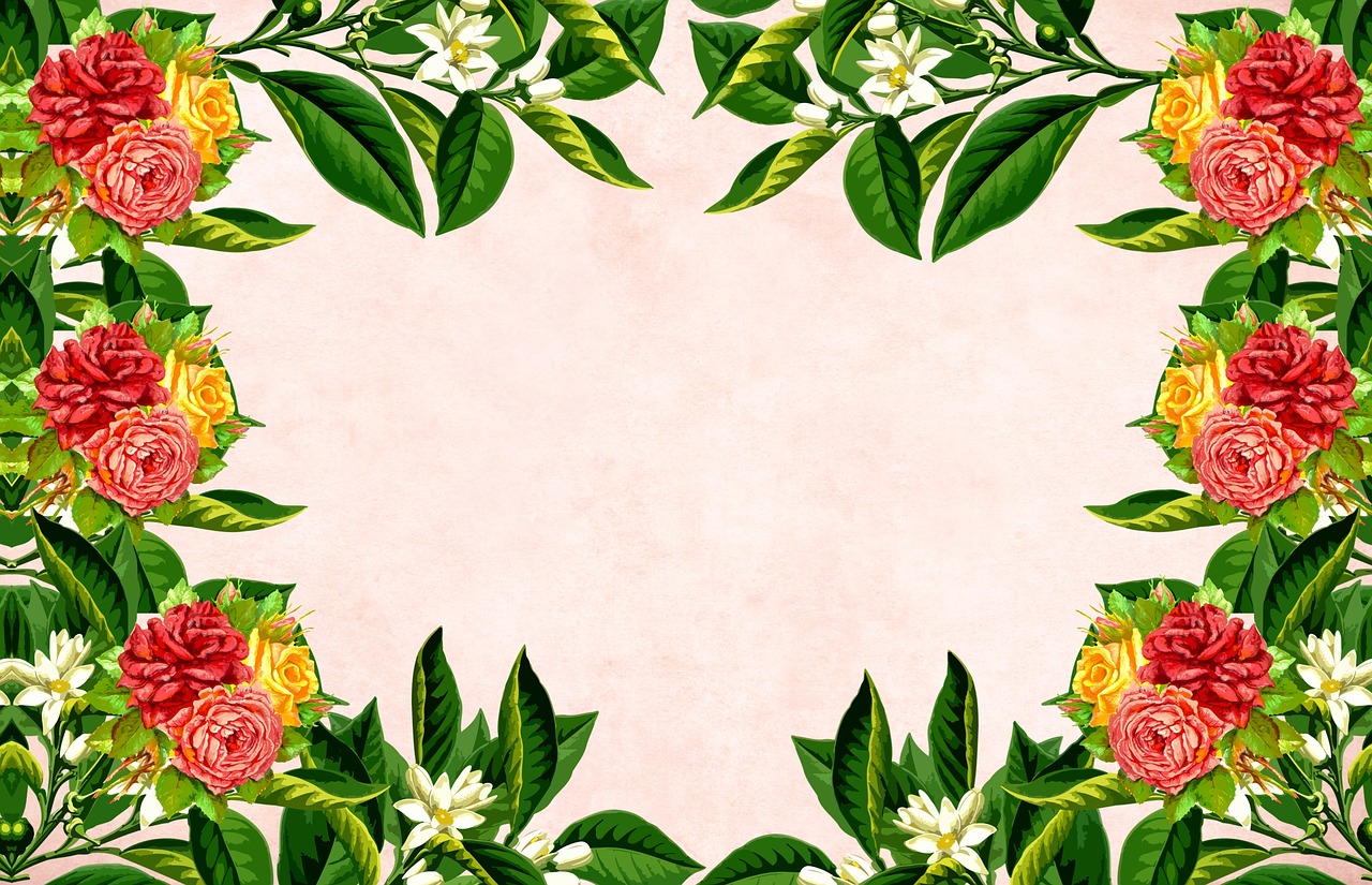 flower  floral  background free photo