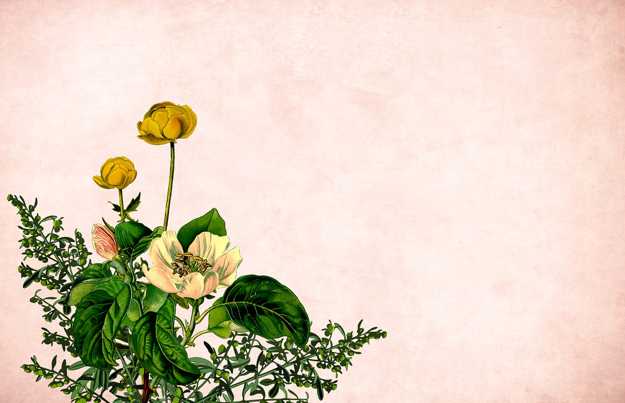 flower  floral  background free photo