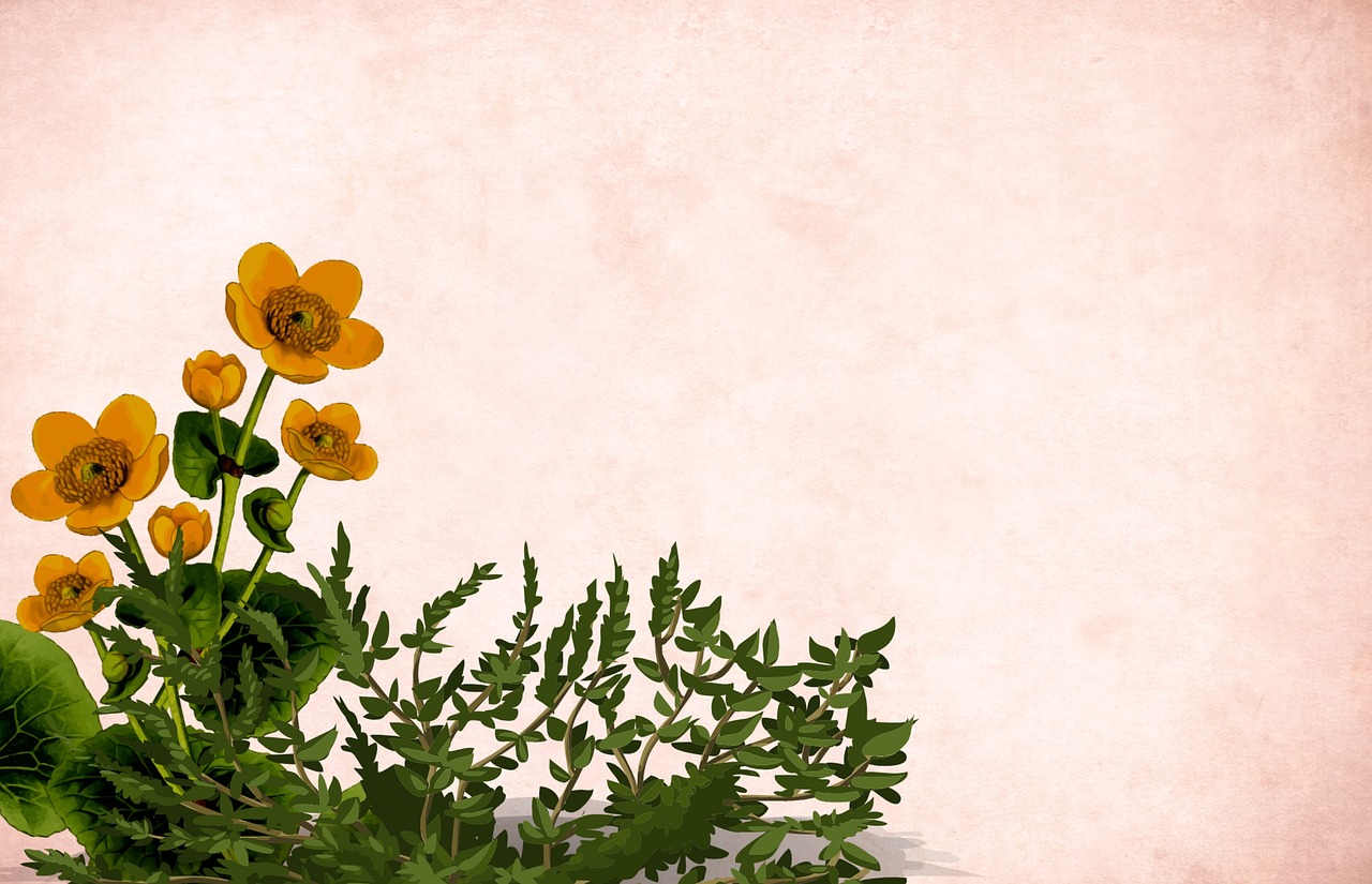 flower  floral  background free photo
