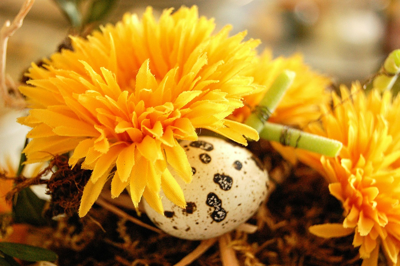 flower egg easter free photo