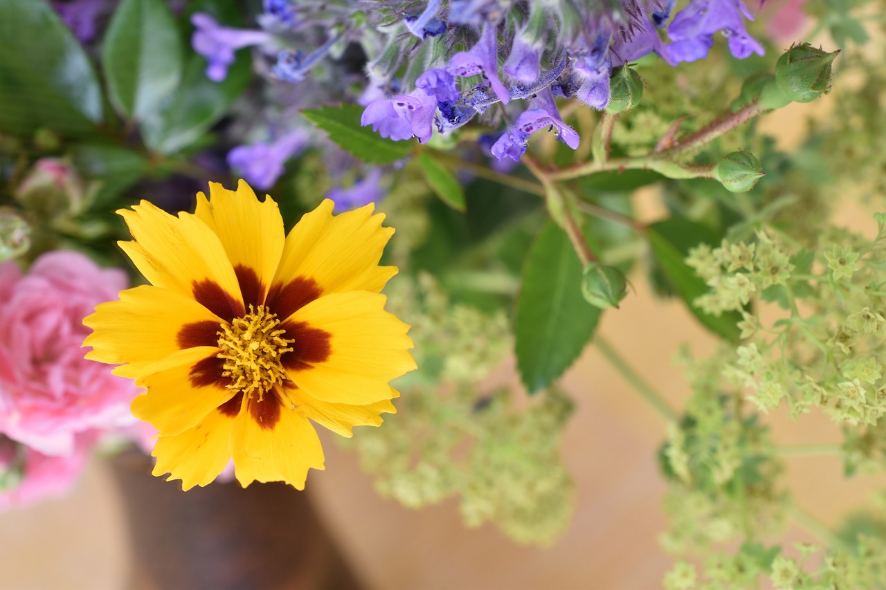 flower  yellow  bouquet free photo